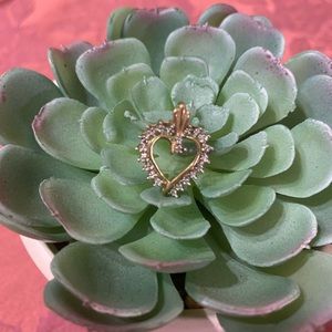 10k gold heart charm